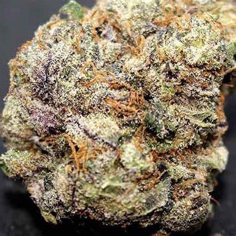 This extremely popular cannabis <b>strain</b> combines the best of the two worlds. . Mango runtz strain